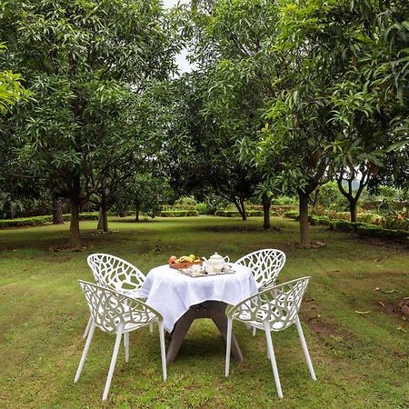 Stayvista'S Prakriti Farms With Outdoor Pool, Complimentary Breakfast And Hi-Tea Udaipur Buitenkant foto