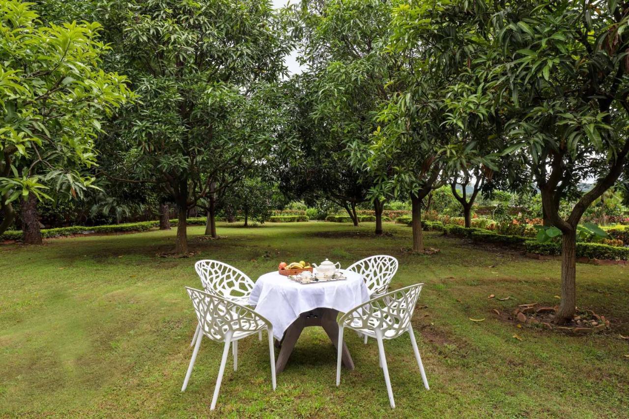 Stayvista'S Prakriti Farms With Outdoor Pool, Complimentary Breakfast And Hi-Tea Udaipur Buitenkant foto